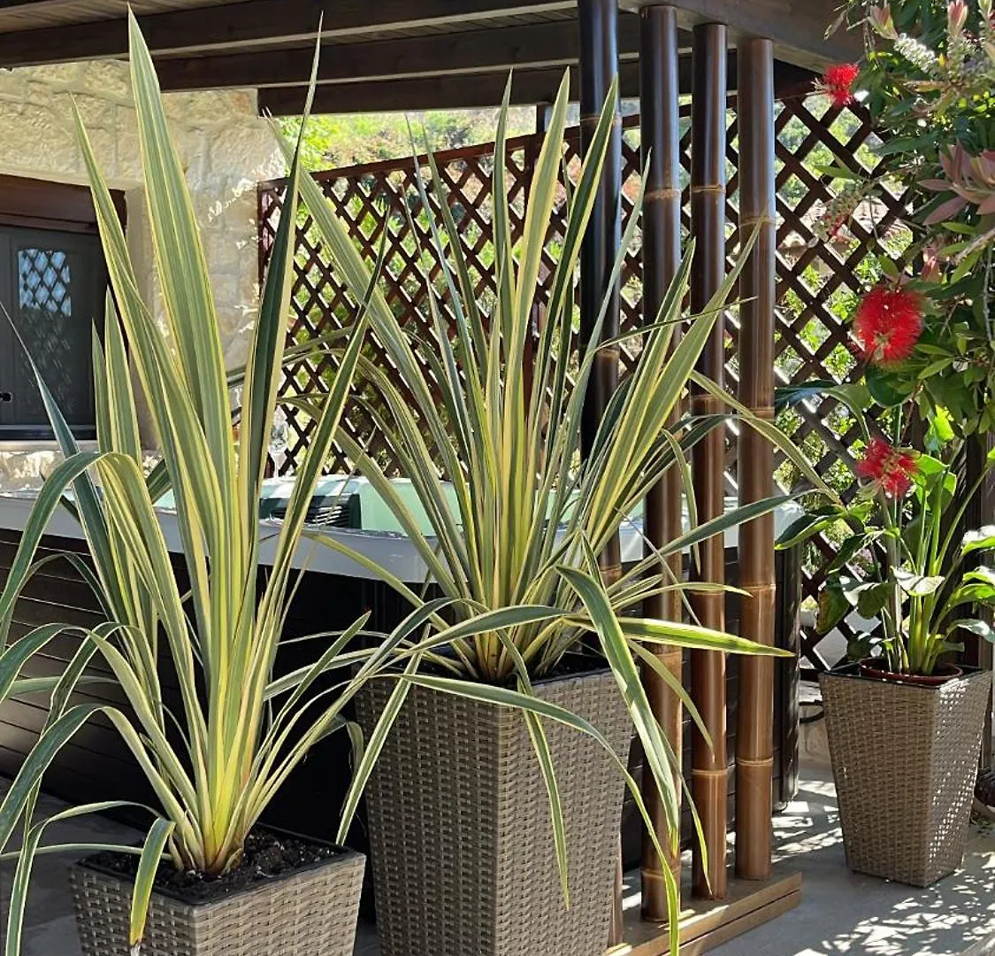 Palma Beach House Sarti 0*,